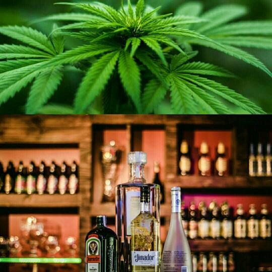 Alcohol vs weed which one gives more pleasure?