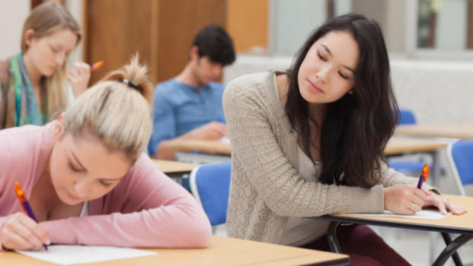 What percent of your educational success would you attribute to cheating, copying, lying, or letting others do your work for you?