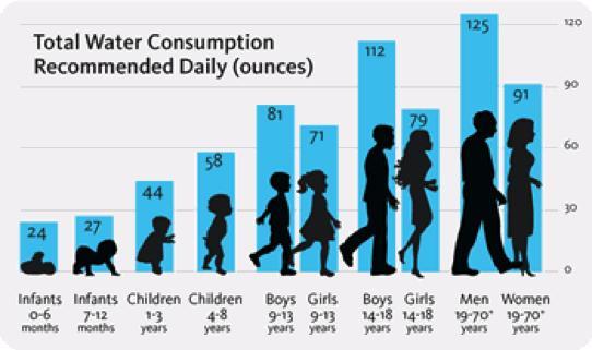 Why do women have to drink less water?