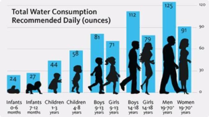 Why do women have to drink less water?