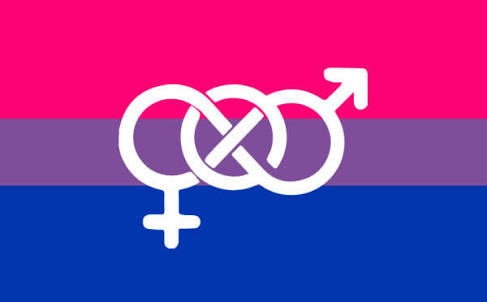 Guys and Girls, would you date a bisexual?