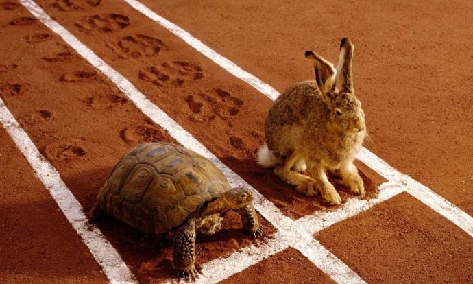 In general, are you a fast or slow learner?