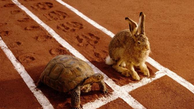 In general, are you a fast or slow learner?
