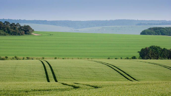 If you were given one thousand acres of land that you didn't need to pay taxes on, but you couldn't sell it- what would you do with it?