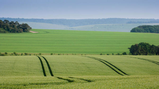 If you were given one thousand acres of land that you didn't need to pay taxes on, but you couldn't sell it- what would you do with it?