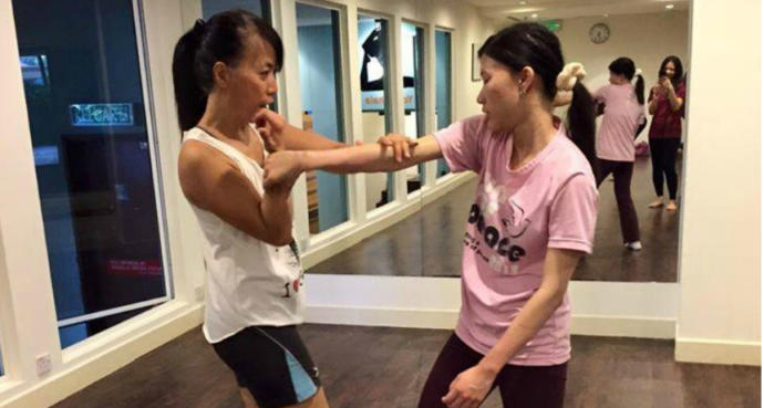 Which hand-to-hand martial arts for self defense would you be most interested in learning?