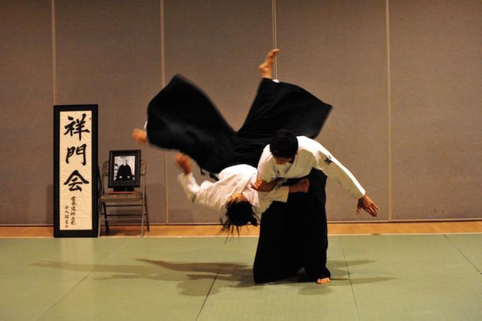 Which hand-to-hand martial arts for self defense would you be most interested in learning?