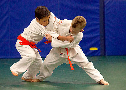 Which hand-to-hand martial arts for self defense would you be most interested in learning?