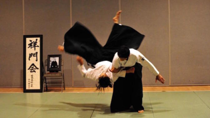 Which hand-to-hand martial arts for self defense would you be most interested in learning?