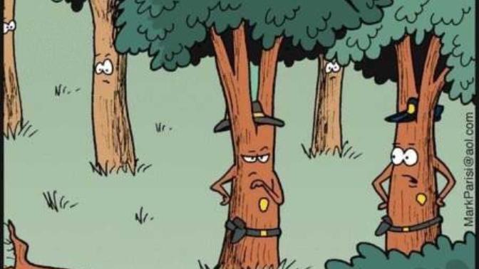 If a tree falls in a forest and no one is around to hear it, does it make a sound?