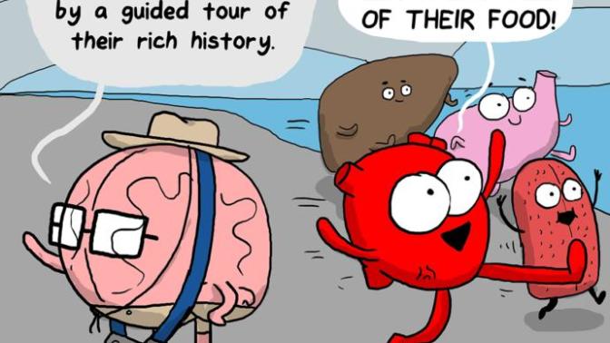 Who do you think Travels more Men or Women?