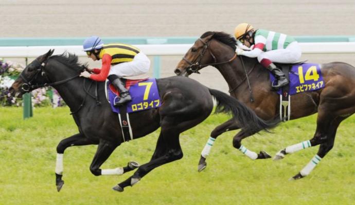 Which horse would you bet on?