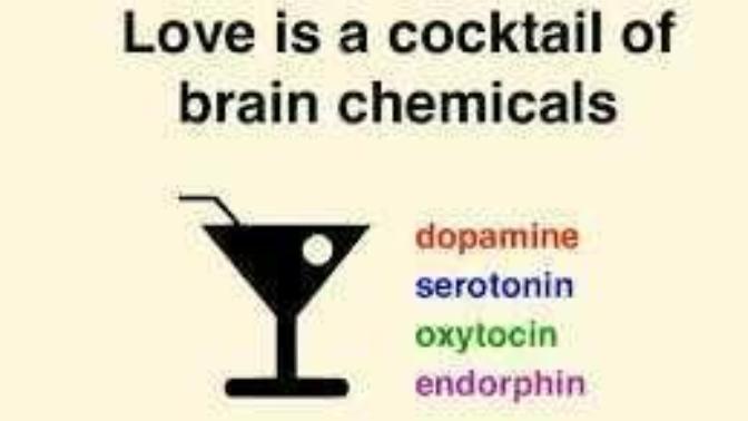 Love is not real. Why people act like it is?