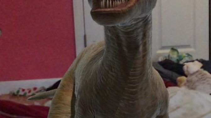 What should I name my new pet? It’s a girl?