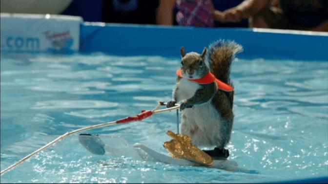 Have you ever taken part in any watersports?
