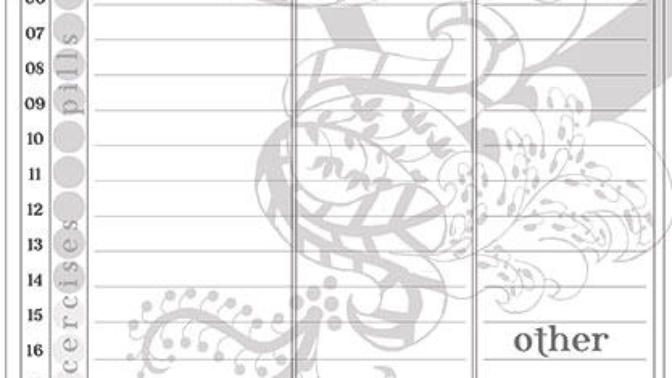 The daily planner. Do you use it?
