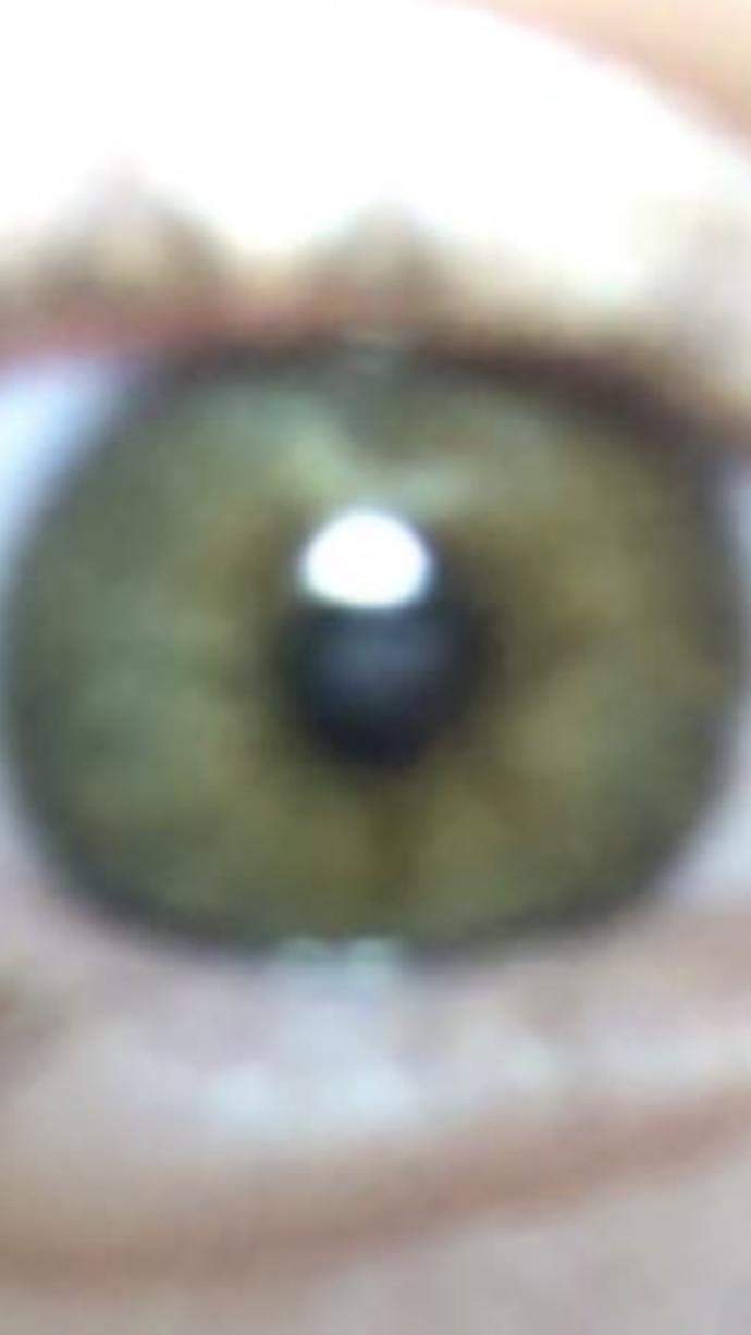 What is this eye color? Hazel or green?