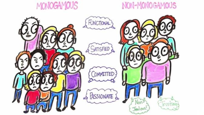"Monogamy" a desperate choice or a wise commitment?