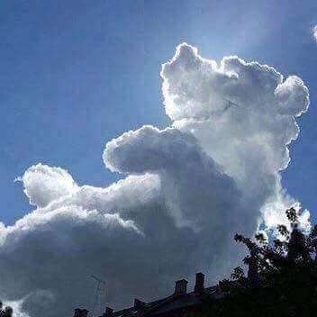 What's the strangest cloud formations you've seen?