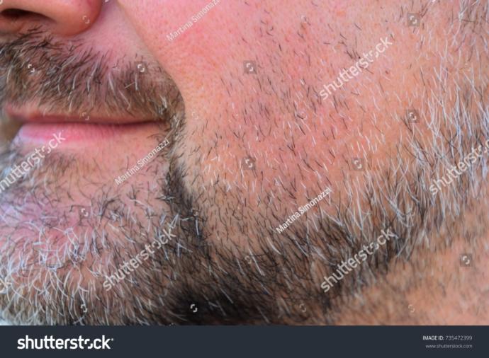 Girls, Greyish / grey facial hair, your opinion?