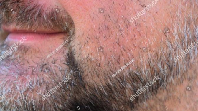 Girls, Greyish / grey facial hair, your opinion?