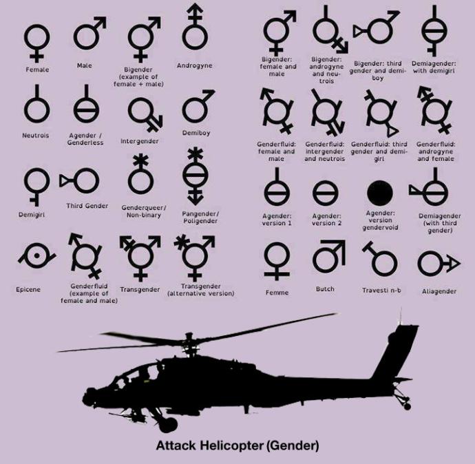 Are there more than two genders?