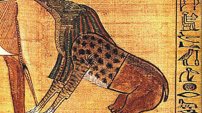 What is the Corruption of Flesh Bible?