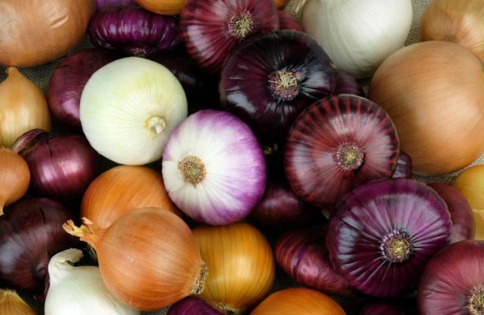 Let’s all rate onions?