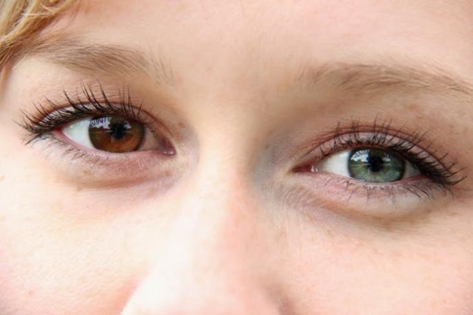 Which of these facial features attracts you the most?