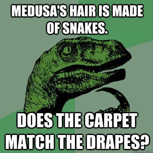 Medusa's hair is snakes. Does the carpet match the drapes?