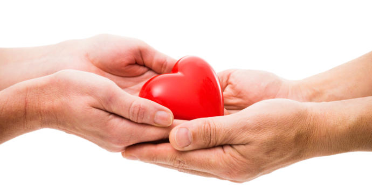 Should Organ Donation Be Mandatory By Law GirlsAskGuys