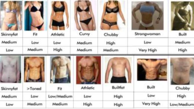 Which is your favourite body type?