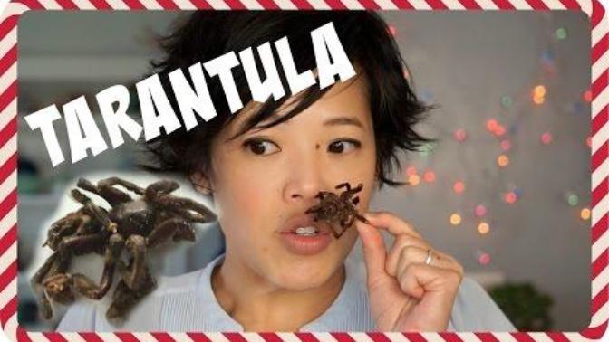 Have you or would you ever eat bugs?