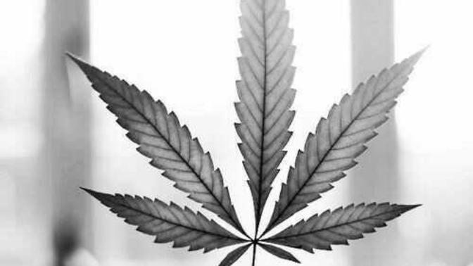 How To Get Someone Out From Weed/Cannabis/Drugs Addiction?