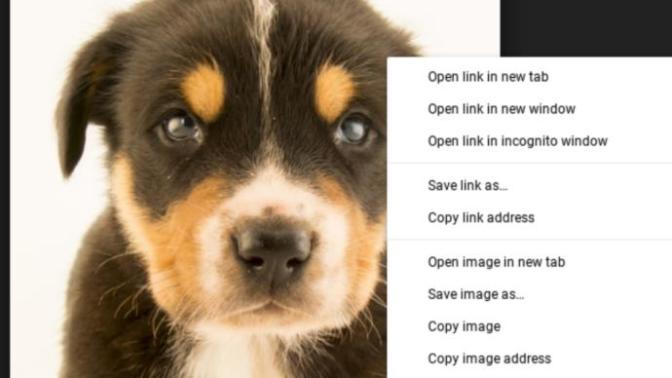 How to copy image address on Android phone?