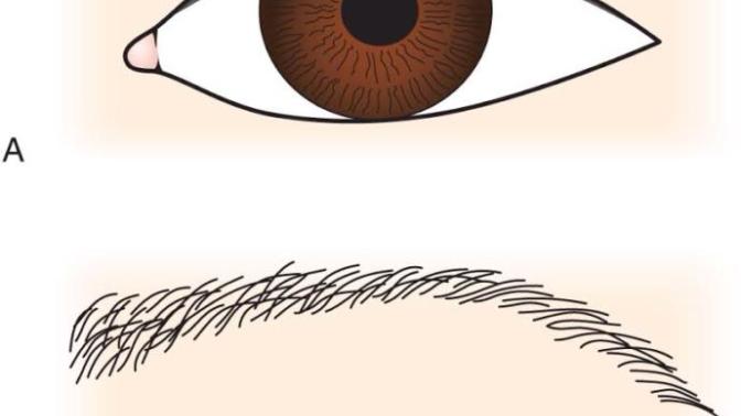 Ok. Let's be honest, monolids vs. double eyelids?