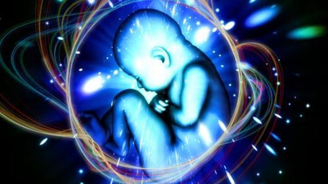 Do Buddhists Sees Rebirth As Multiple Personalities?