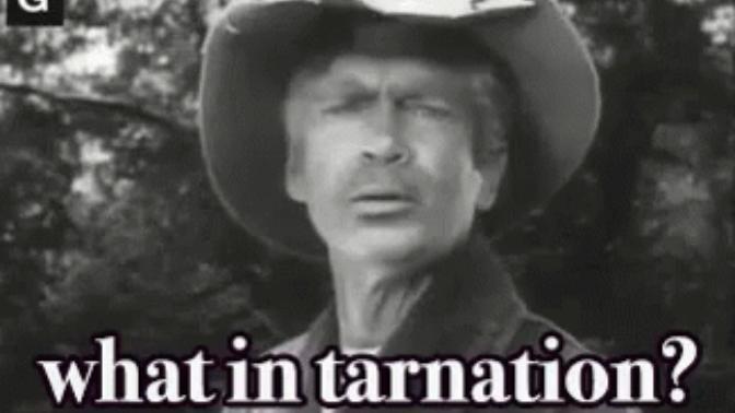 Do you find White Americans from the deep south (southern states of the US), funny or hilarious?