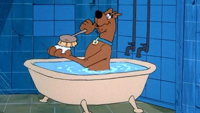 Just for fun:What would you do if you saw this guy in your bath?