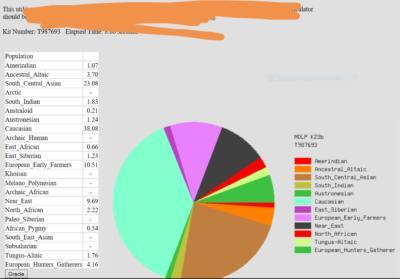 Which Race Do I Belong according to my DNA test?