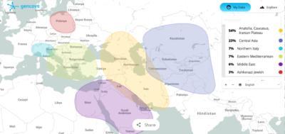 Which Race Do I Belong according to my DNA test?
