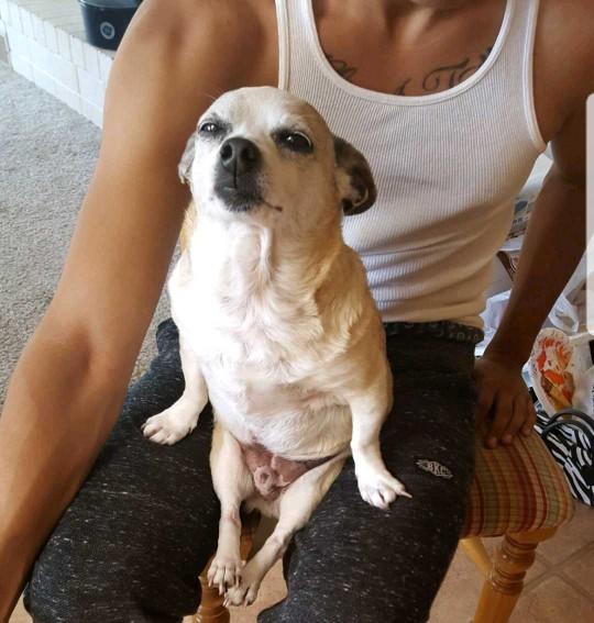 Romeo's been looking for a motherly figure in his life is he cute enough for success??