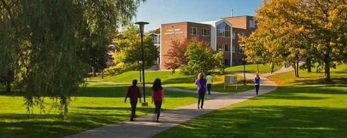 What is more in demand: A university or a college degree?