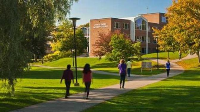 What is more in demand: A university or a college degree?