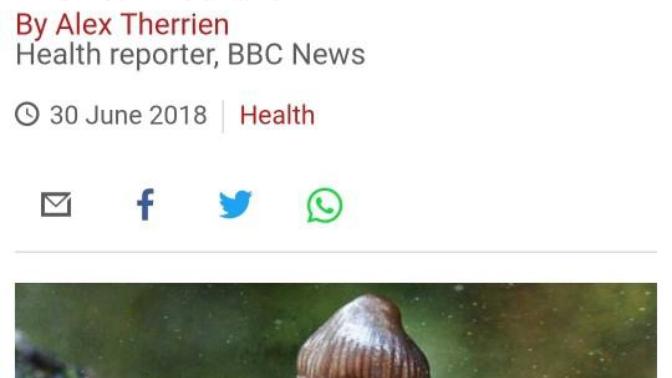 What do you think of this headline?