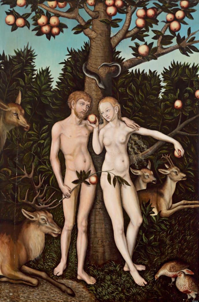 Did Adam & Eve pee n poo before sin?