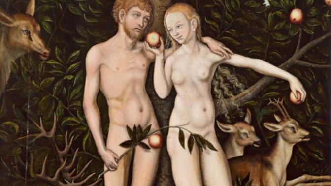 Did Adam & Eve pee n poo before sin?