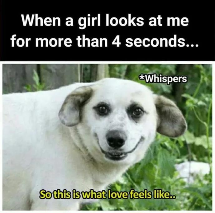 Why do I fall in love so easily?