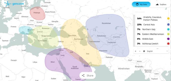 What is my ethnicity?