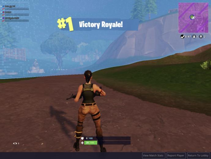 Fortnight or PUBG?